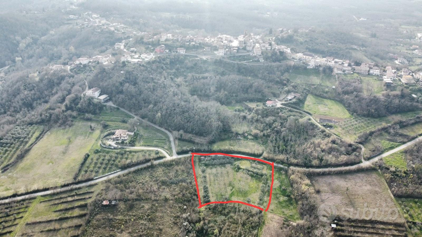 Terreno agricolo con ulivi - Vista 2