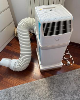 Pinguino Delonghi Compact