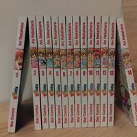 Manga serie completa 1-14 kilari revolution