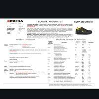 Scarpe antinfortunistica