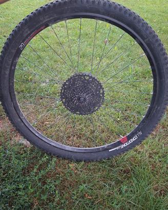ruota mtb completa da 29