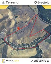 terreno-agricolo-grottole-strada-provinciale-grott