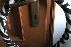 Coprivolante zebrato