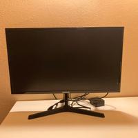 Monitor per pc 20 pollici samsung