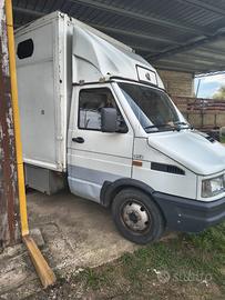 Iveco Daily trasporto animali