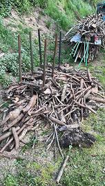 Legna di ulivo tagliata