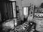 Immagine 10