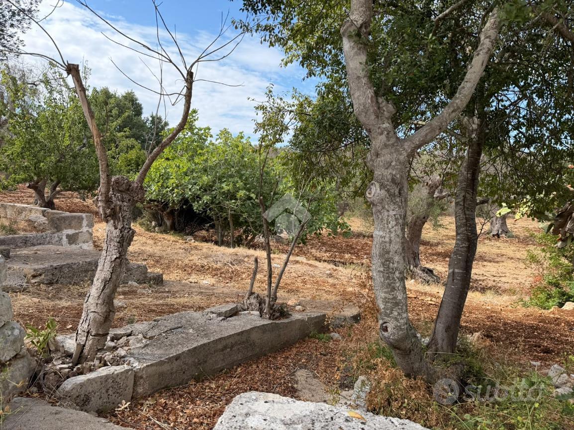 RUSTICO A CAROVIGNO - Vista 5