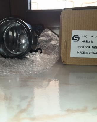 Fendinebbia + Cornice destro FORD FIESTA 2009