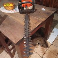 tagliasiepe a scoppio