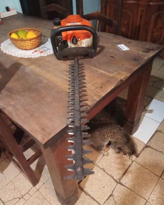 tagliasiepe a scoppio