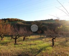 TER. AGRICOLO A PALOMBARA SABINA