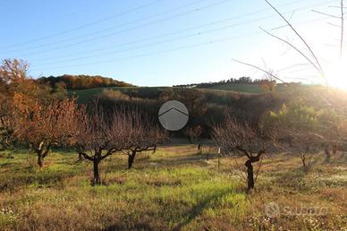 TER. AGRICOLO A PALOMBARA SABINA