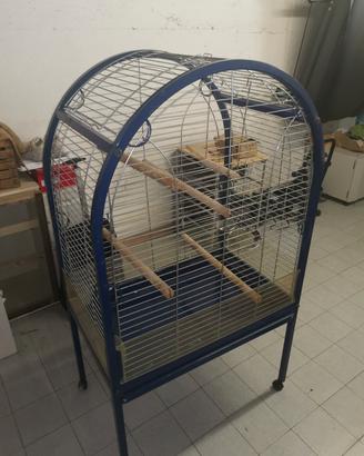 Gabbia per Pappagalli