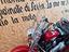 Immagine 15