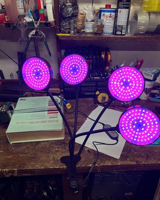 lampada per piante 