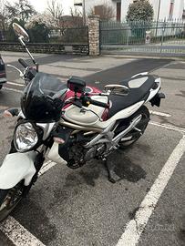 Suzuki gladius 650