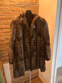 Pelliccia di gatto selvaggio