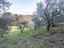 Immagine 9