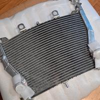 Radiatore s1000rr dal 2009/18