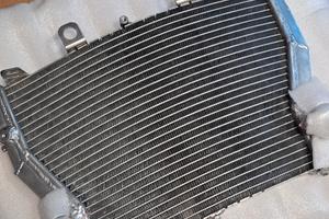 Radiatore s1000rr dal 2009/18