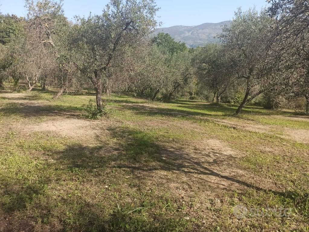 Rustico / Casale di 150 m² a Ausonia - Altro