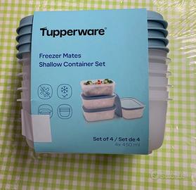 Set contenitori Frezeer Tupperware
