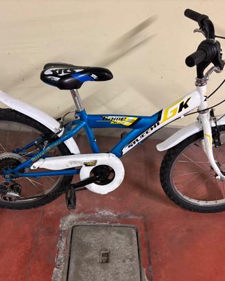 Bicicletta bambino 20 stucchi