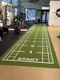 Striscia erba sintetica da palestra