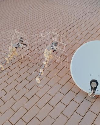 Antenne TV e Parabola Satellitare 
