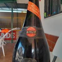 Vino e Champagne da collezione