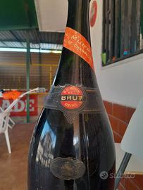 Vino e Champagne da collezione