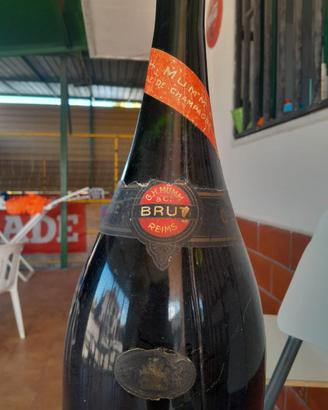 Vino e Champagne da collezione