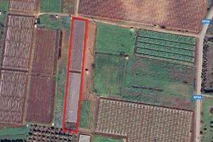 Vigneto Red Globe Pozzovivo