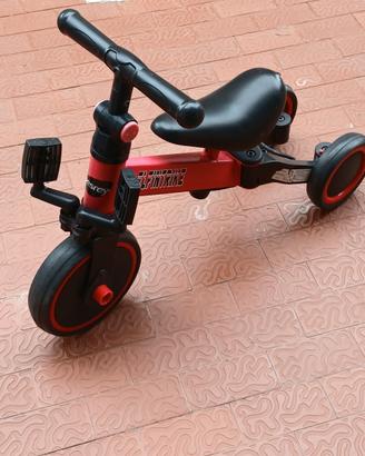 bicicletta 