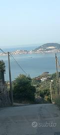 a FORMIA