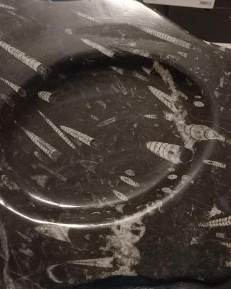 Centrotavola in pietra con fossili