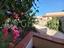 Immagine 10