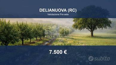 Immobile in asta di 9490 m² a Delianuova