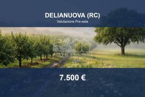 Immobile in asta di 9490 m² a Delianuova