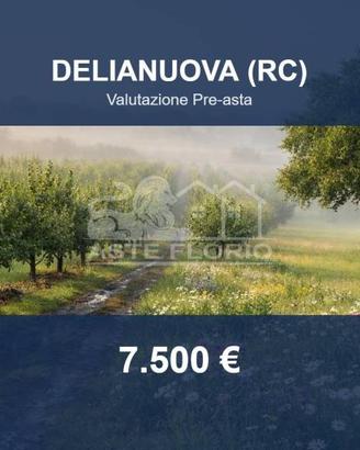Immobile in asta di 9490 m² a Delianuova