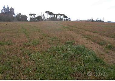 RGE 87/2024 - Tribunale di Urbino