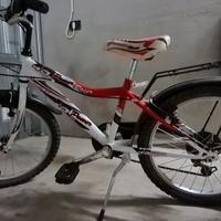 Bici da 20 bambino