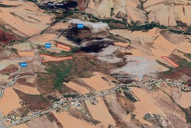 Terreno con piante di ulivi