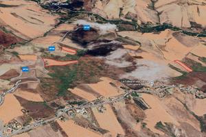 Terreno con piante di ulivi