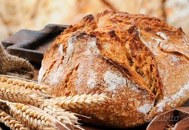 Alimentari Centocelle