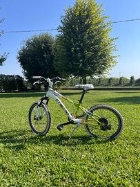 bicicletta
