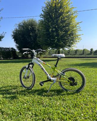bicicletta