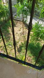 Appartamento bilocale zona Fossò (VE)