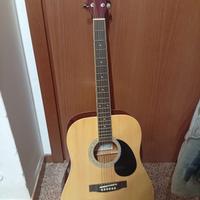 Chitarra Acustica e custodia